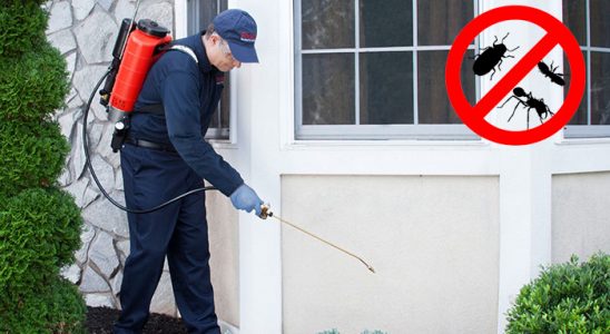 Onikişubat Hamam Böceği İlaçlama böcek ilaçlama ve haşere kontrolü — ilaclama-tr.com